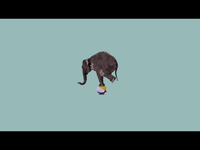 Ollie Joseph & Apollo - Elephants