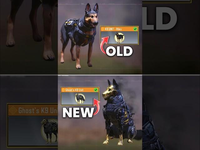 New vs Old Legendary Riley in CODM