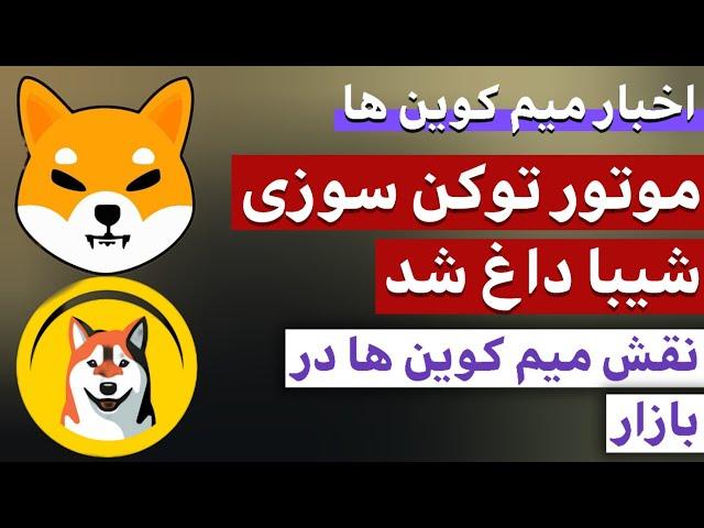 اخبار میم کوین ها : از توکن سوزی شیبا تا بررسی میم کوین ها