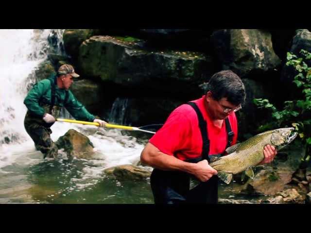 Owen Sound Salmon Tour
