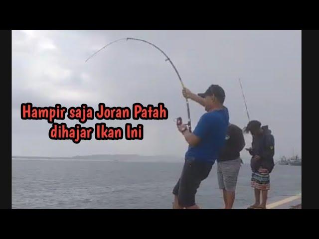 Mancing ikan Besar di pinggir laut