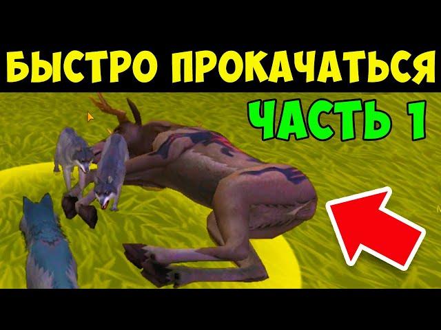 КАК БЫСТРО ПРОКАЧАТЬСЯ до 200 УРОВНЯ в WILDCRAFT ЧАСТЬ 1