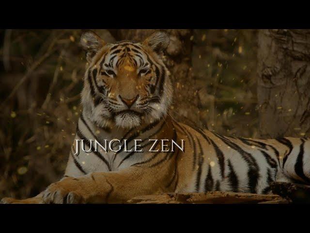 Richard Theisen | Jungle Zen | Mayan Stars | 432hz