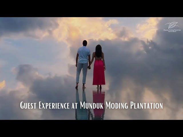 The only coffee plantation resort in Bali