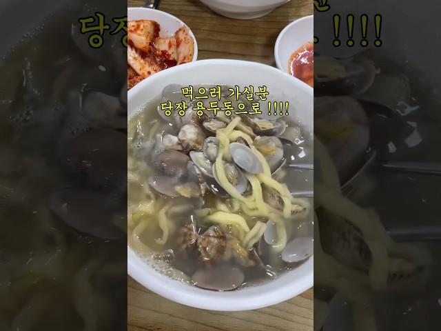 백종원 선생님도 감탄할 용두동 바지락칼국수 맛집