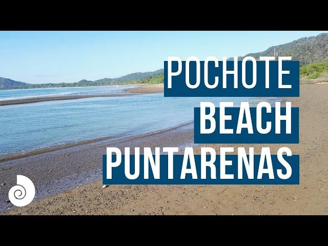 Pochote beach, Costa Rica - GOPlaya.cr