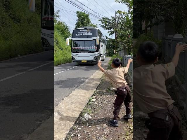 BASURI BUS KIDS PANDA BAIK RASA  #teloletbasuri #busmania