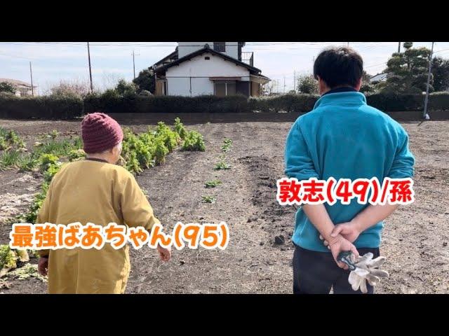 【検証】ばあちゃんのお汁がいつもの味とは違うとき、孫の敦志は気づくのか！？