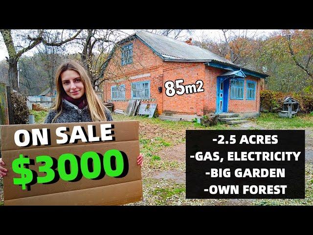 HOUSE FOR SALE in UKRAINE | CHEAP PROPERTY REVIEW