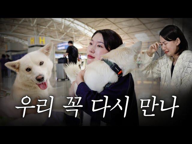 럭키가 농장을 떠나는 날