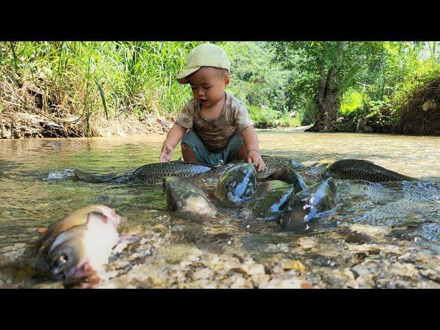 After the rain caused by Typhoon Yagi - giant carp washed away | Nông Thôn