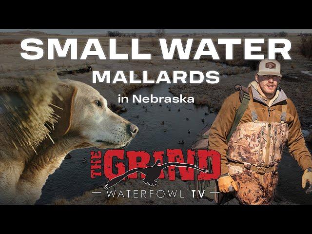 Small Water Mallards in Nebraska Part 2 | The Grind S13:E9