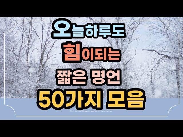 짧은명언│3분영상│인생명언│50가지모음│성공명언│인생글귀