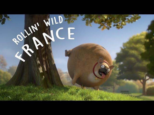 Rollin' France - what if animals were round?