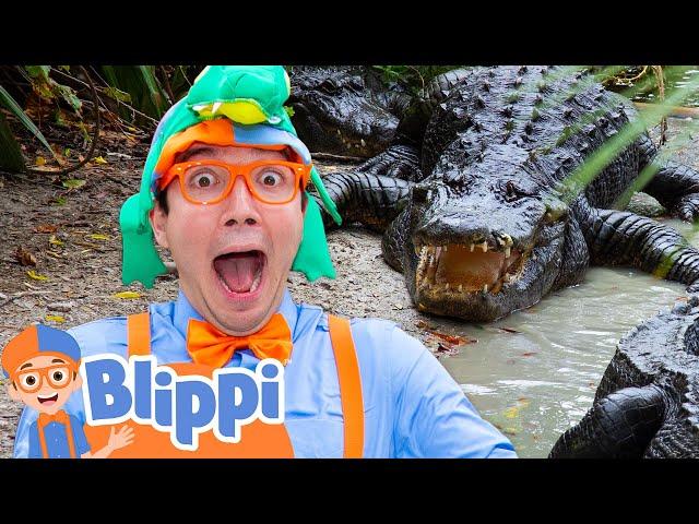 Blippi's Spooky Alligator Trick-or-Treat Adventure! ️ | Fun Halloween Educational Videos for Kids