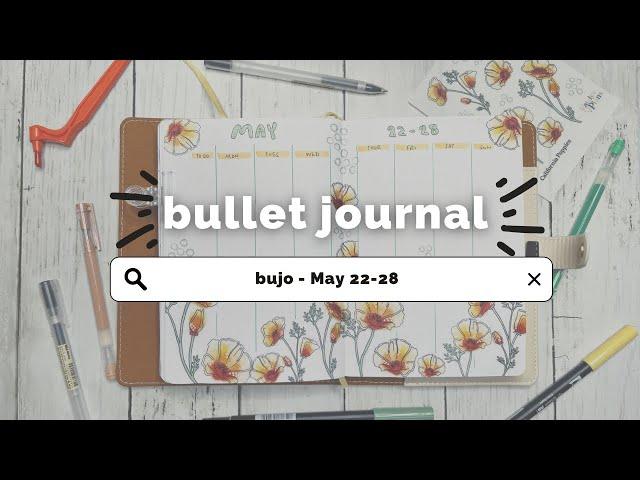 Bullet Journal || California Poppies