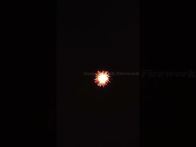 SkyMaker Standard Fireworks#diwali2023 #firework #diwali2023stash #skyshots