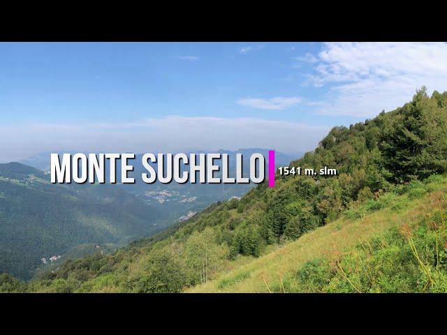 Monte Suchello dalla Forca di Aviatico