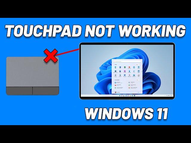 How To Fix TouchPad Not Working on Windows 11