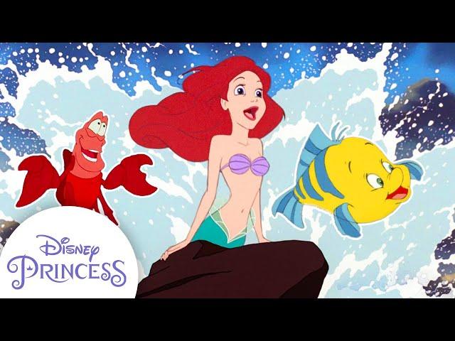 Best of Ariel & Her Animal Friends | The Little Mermaid | Disney Princess