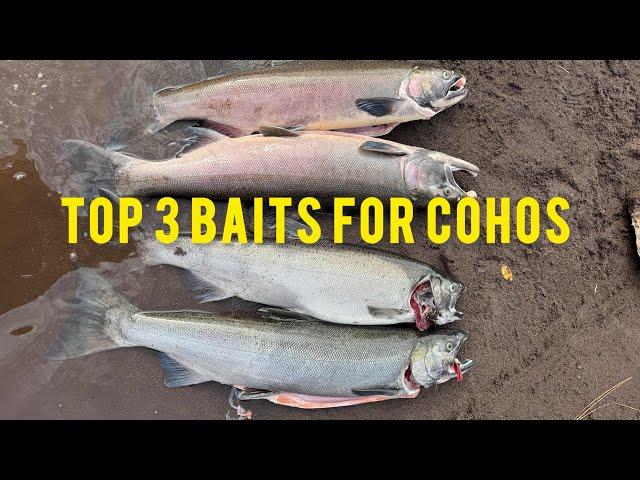 3 WAYS TO CATCH COHO SALMON - and WHAT NOT TO DO!