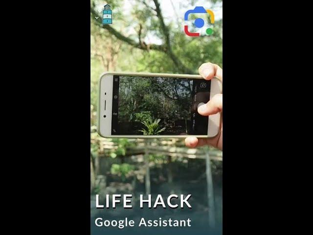 Life Hack: Google Lens