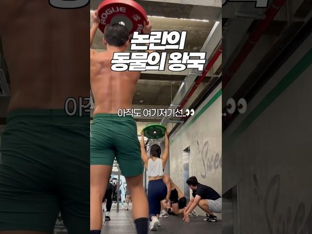 160만뷰 논란의 크로스핏=동물의왕국(?) 근황