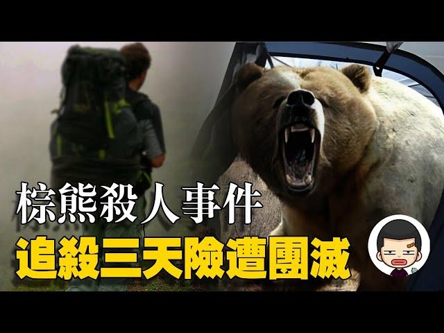 5名學生登山旅行，卻遭棕熊追殺三天，差點被團滅丨英大吉