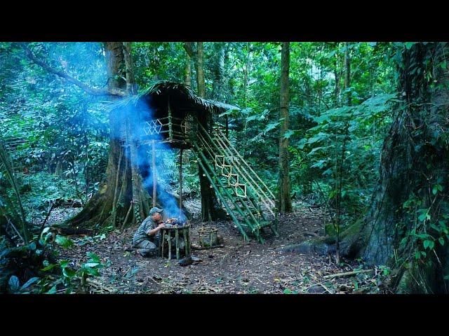 Full video 1 year Solo Bushcraft. Living and bushwalking in the rainforest,  Bushcaft Survive.