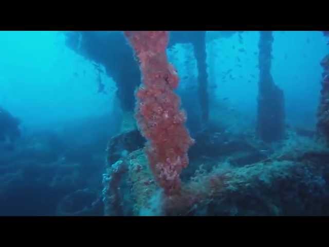 Buceo en Cabo Palos (Islas Hormigas) (diving)