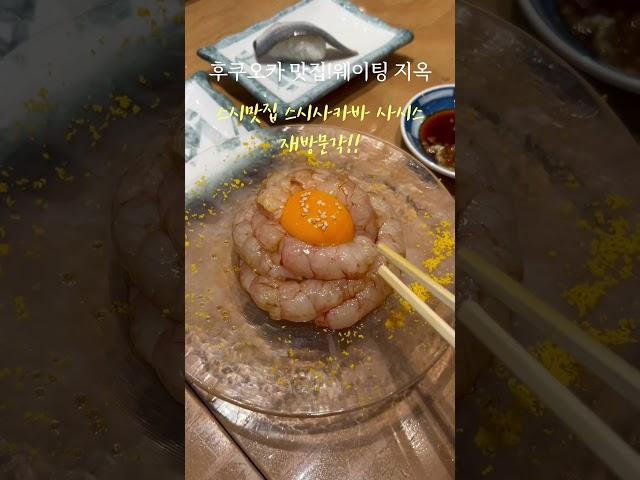 /후쿠오카 하카타 스시맛집#후쿠오카#후쿠오카여행 #후쿠오카맛집 #하카타 #스시