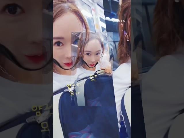 #부산 #댕댕이 #지하철#어디가