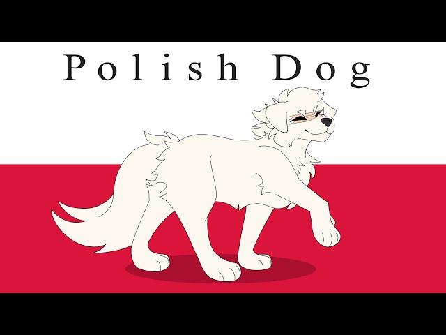 [Country Dogs] Polish Dog || Meme