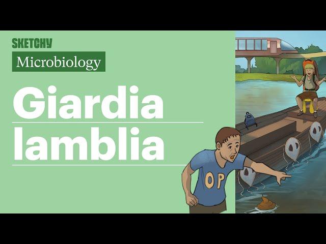 Giardia lamblia Lesson: Transmission & Treatment (Full Lesson) | Sketchy Medical | USMLE Step 1