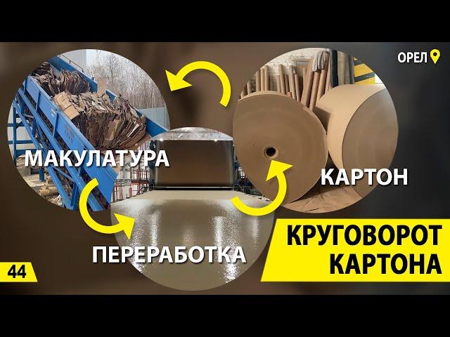 Круговорот картона. Переработка макулатуры и завод за 1 миллиард. Деньги из мусора.