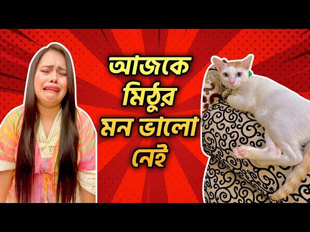 আজকে মিঠুর মন ভালো নেই  | #MimiMithu