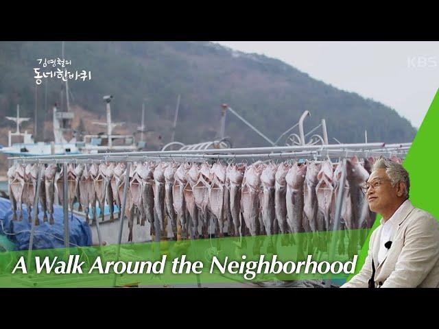 Geoje, Gyeongsangnam-do(A Walk Around the Neighborhood) I KBS WORLD TV 200127