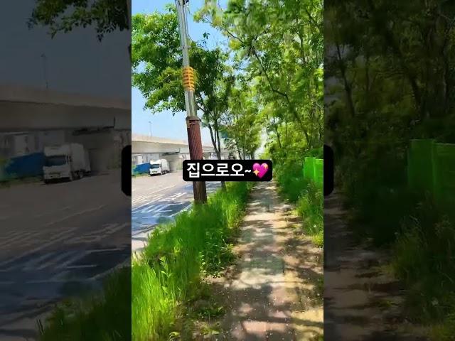 오늘은 반차 퇴근이다아 #브이로그 #일상 #중소기업 #중소기업브이로그 #직장인 #퇴근길 #더워