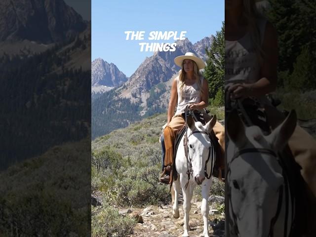 Beauty and simplicity  #simple #mules #mountains #shorts
