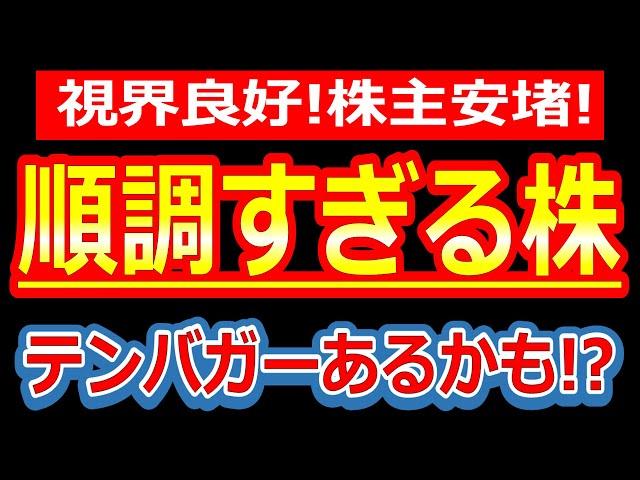 視界良好！株主安堵！順調でテンバガーが見えてきた株！