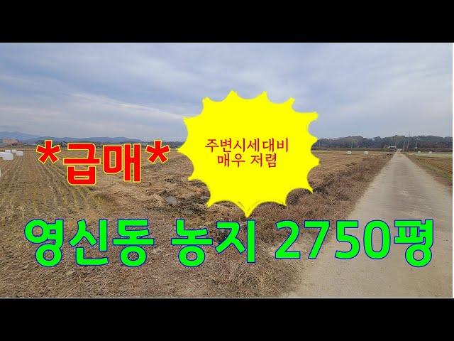 (매물번호 075 )*급매*문경시 영신동 농림지역 답9090㎡ ( 2750평) 평당19만#주변시세 대비 매우저렴한 급매물