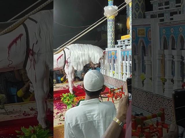 Ali Fatima ki nigahon ka Tara Muharram tajiya