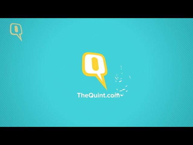 Unscrew the World with The Quint's Videos
