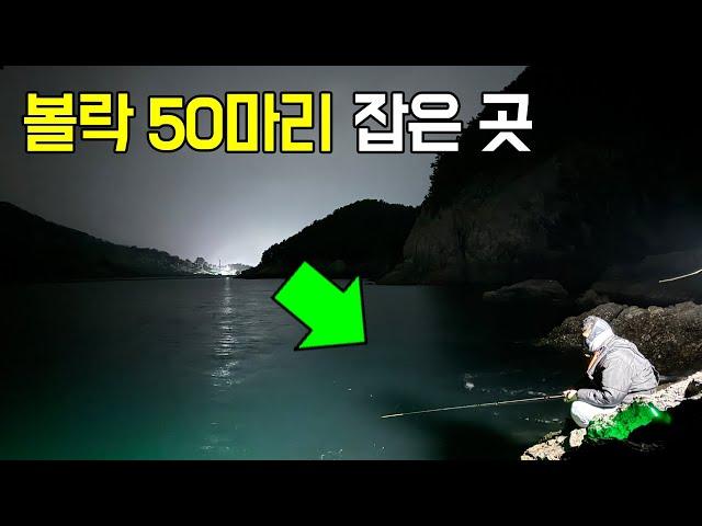초보도 무조건 잡는 볼락 포인트