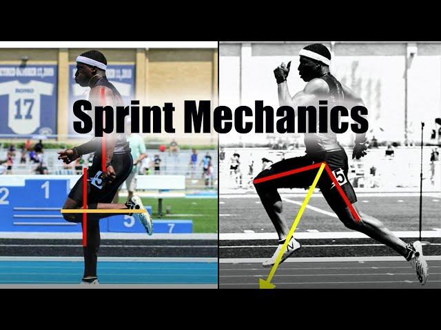 Sprinting Mechanics & Fundamentals | Feed the Cats