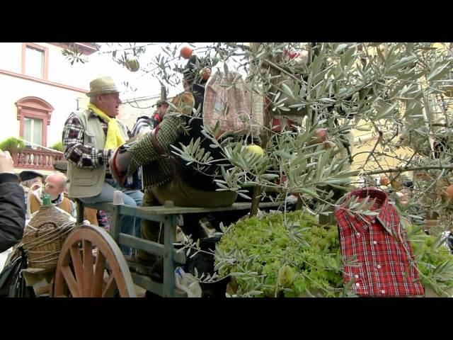 UMBRIA - L' ORO di SPELLO  Festa dell' Olivo  2010