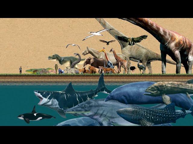 Animal Size Comparison: Living and Extinct | The Largest Animals in the World