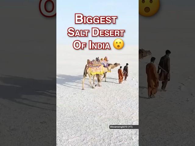 Desert full of salt? #kutch #gujarat #shortsindia