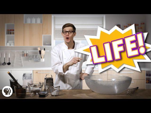 The Recipe For Life…
