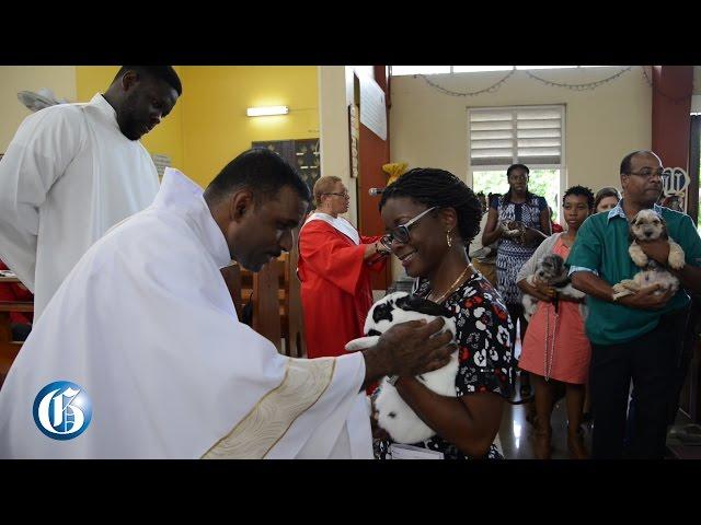 Pets in church...Kingston pastor blesses animals